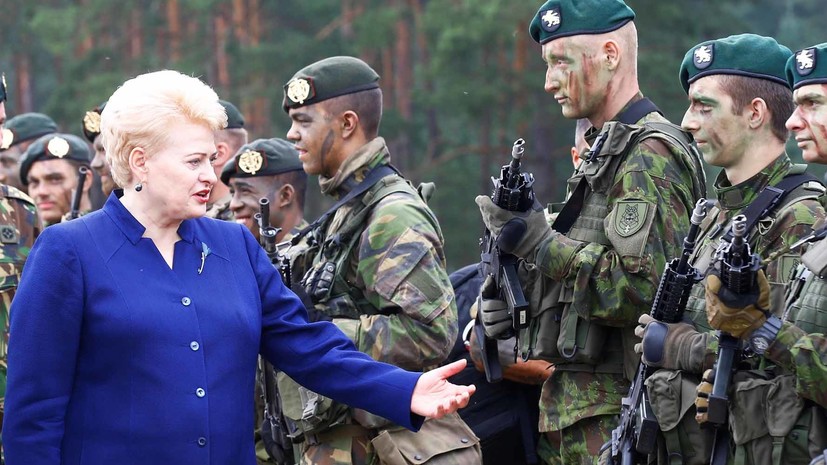Ответ «Западу»: президент Литвы призвала ЕС обсудить создание военного «шенгена»