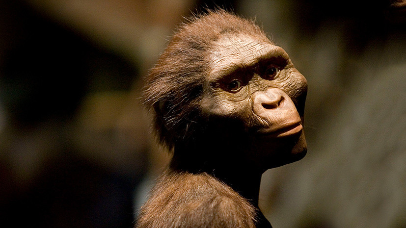 Открытие — по зубам: предки человека могут оказаться на 10 млн лет древнее, чем считалось ранее