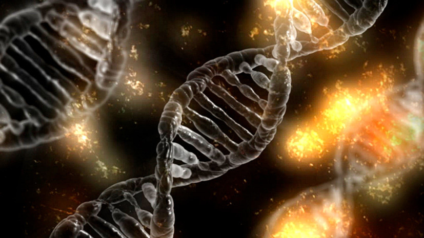 По живому: учёные впервые отредактировали геном в теле человека