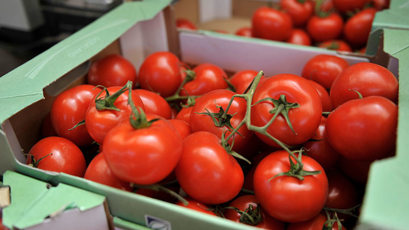 Россельхознадзор разрешил ввоз томатов с пяти турецких предприятий