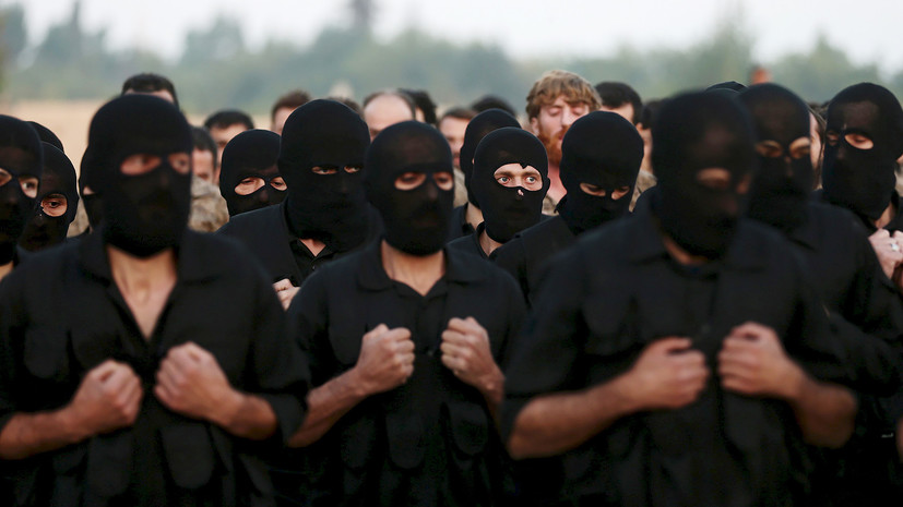 Глобальный фронт: возможно ли слияние ИГ и «Аль-Каиды» в единую группировку