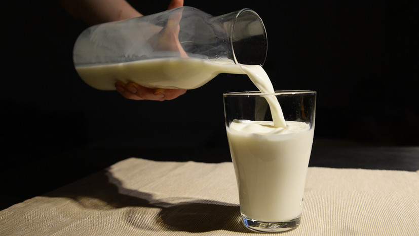 Как Белоруссия грозит России последствиями за запрет на экспорт своего молока