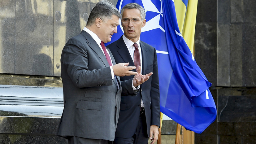 «Речь о членстве в альянсе не идёт»: что даст Украине статус «страны-аспиранта» в НАТО
