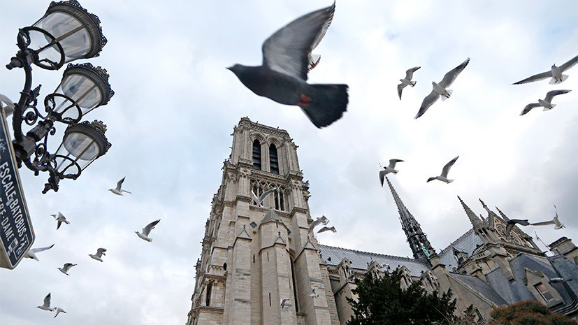 Учёные сообщили о сокращении популяции птиц на треть за последние 15 лет во Франции