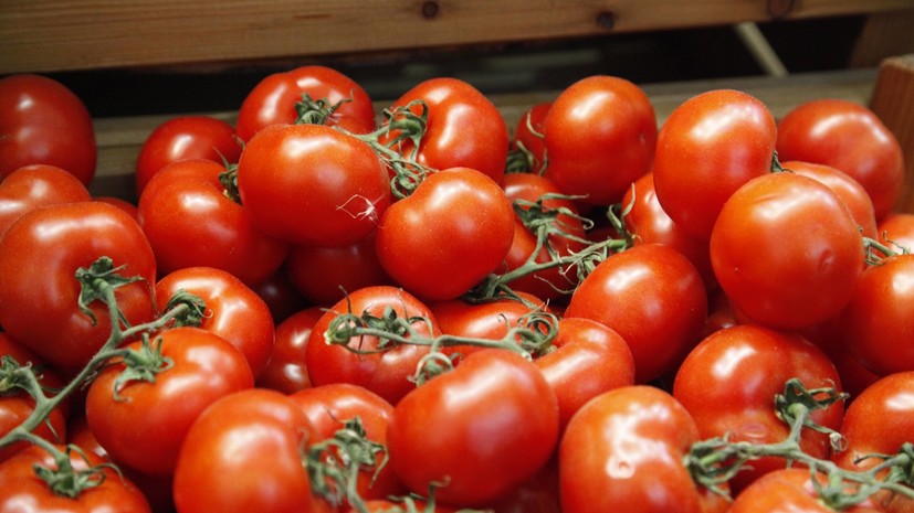 Россельхознадзор разрешил ввоз в Россию томатов ещё с четырёх предприятий Турции