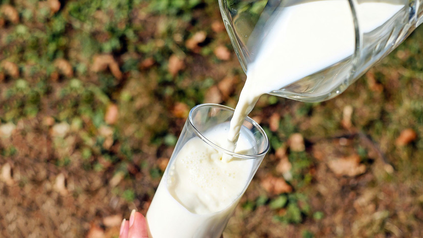 Россельхознадзор запретил ввоз продукции с молочного предприятия Белоруссии