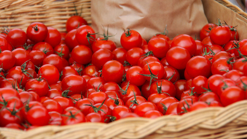 Россельхознадзор разрешил поставки томатов ещё двум турецким компаниям