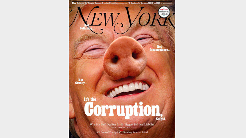 Американский журнал поместил на обложку изображение Трампа в виде свиньи