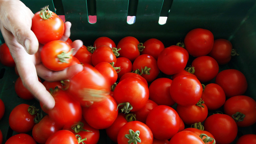Россельхознадзор заявил о готовности расширить список поставщиков томатов из Турции