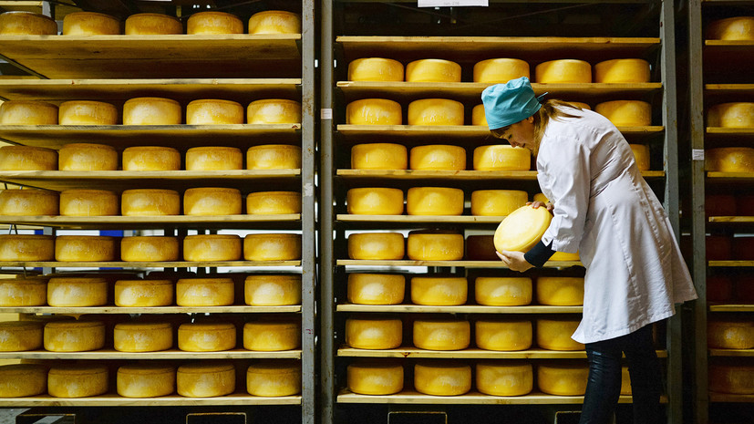 Роспотребнадзор создаст чёрный список производителей некачественных сыров
