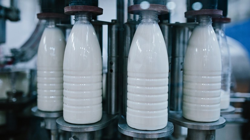 В Белоруссии отреагировали на намерение России напоить россиян отечественным молоком