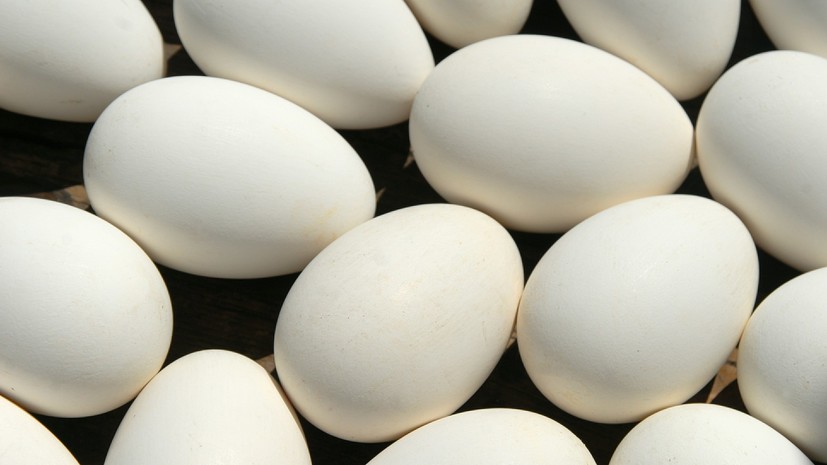В США из продажи изымают более 200 млн яиц из-за возможной инфекции