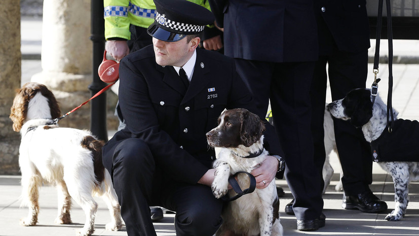 Антидопинговое агентство Великобритании привлечёт псов-ищеек для борьбы с запрещёнными препаратами