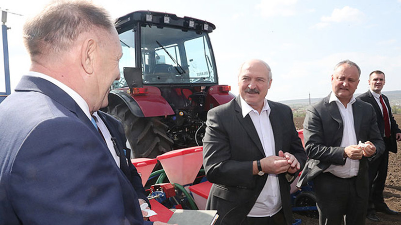Лукашенко и Додон на тракторах засеяли поле кукурузой в Молдавии
