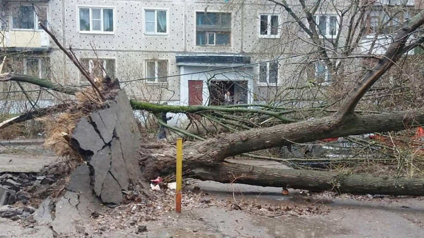 Грозовой фронт: два человека стали жертвами урагана в Московском регионе
