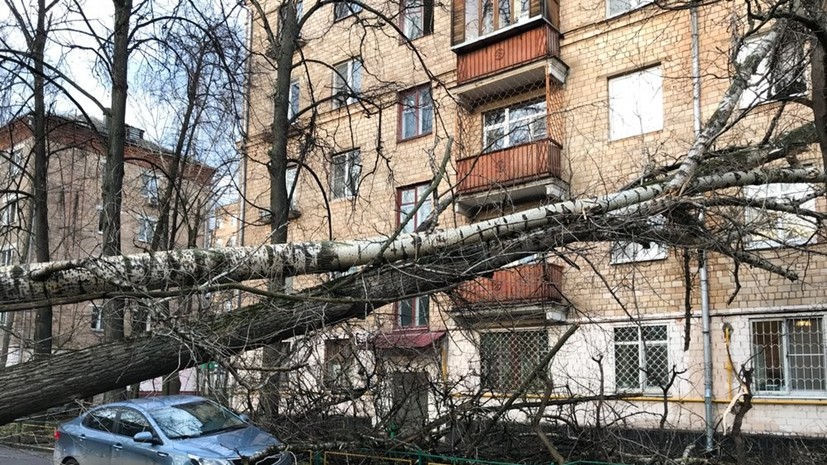 Синоптики рассказали о прошедшем в Московском регионе урагане