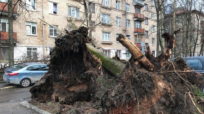В Москве из-за урагана повалено более 580 деревьев и повреждено свыше 90 машин
