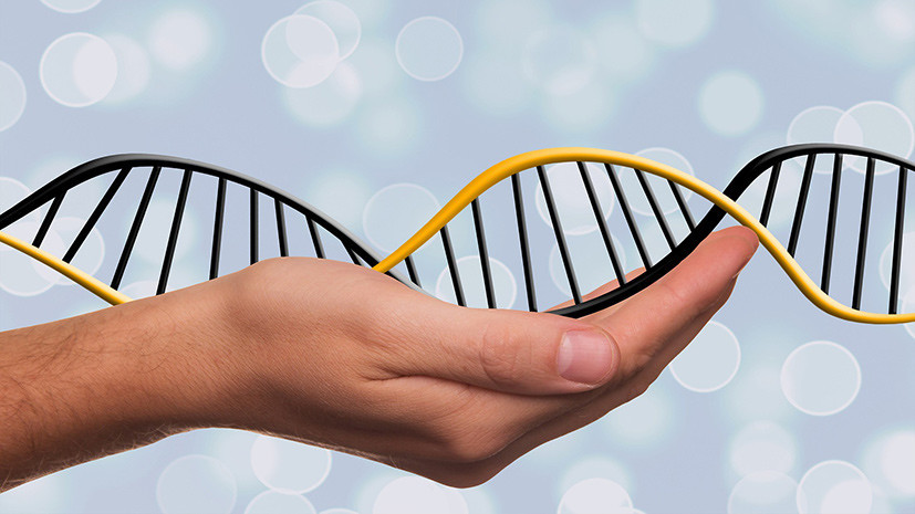 Тест RT: что вы знаете о ДНК и генах?