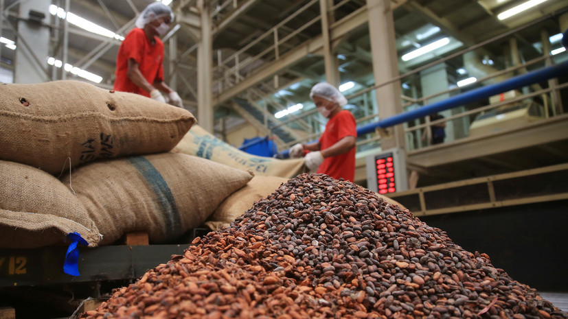 Как мировой рост стоимости какао-бобов может отразиться на кондитерской индустрии России