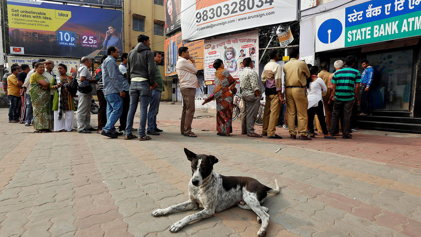 В Индии бродячие собаки убили шестерых детей