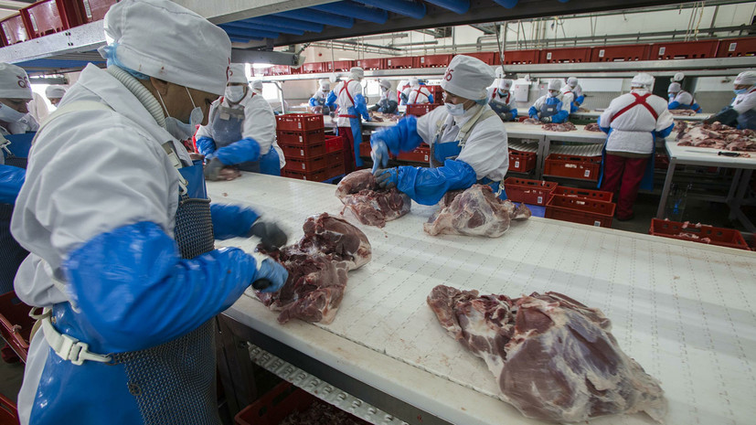Россия ограничила поставки свиноводческой продукции из Венгрии 