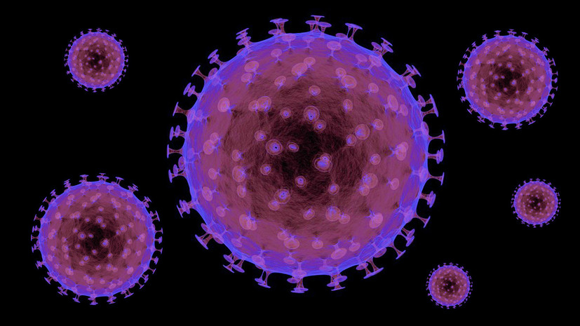 Вирусная летопись: поможет ли история эволюции гепатита В победить опасную болезнь