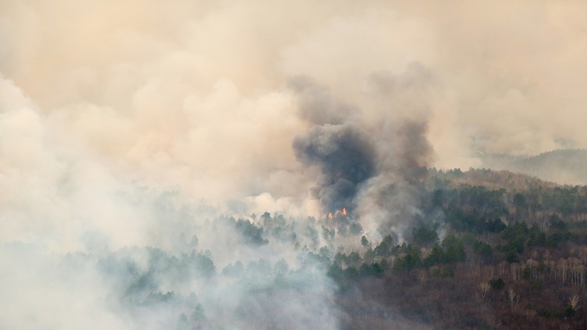 Спасатели предупредили о риске возникновения лесных пожаров в Ленинградской области