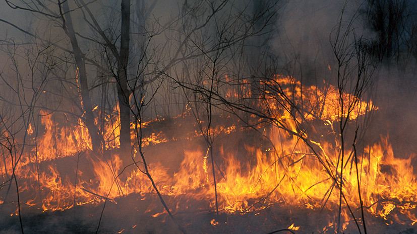 МЧС предупредило о высокой пожароопасности в Подмосковье 17 и 18 мая