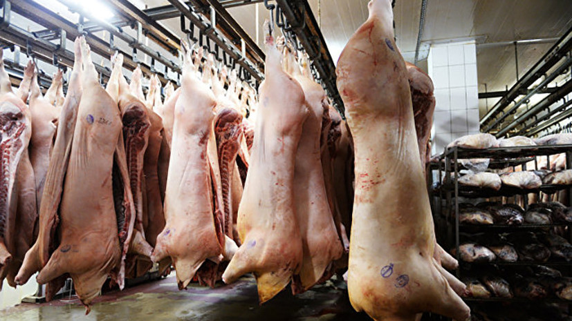 Россельхознадзор рассказал об антибиотиках в аргентинском мясе