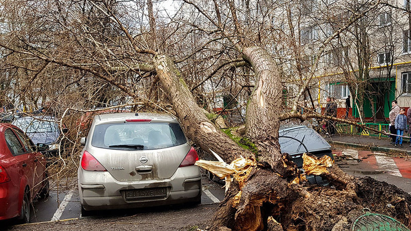Закрытые парки, поваленные деревья и сорванные крыши: в Центральной России и Поволжье ликвидируют последствия урагана