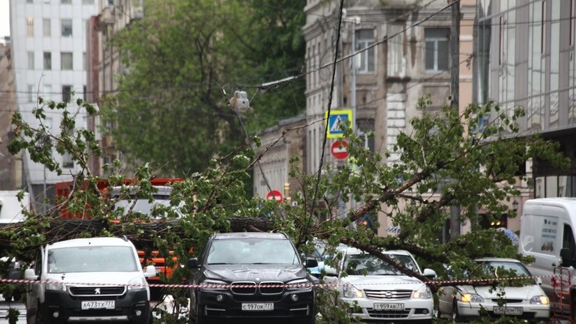 МЧС предупредило об усилении ветра в Москве 2 июня
