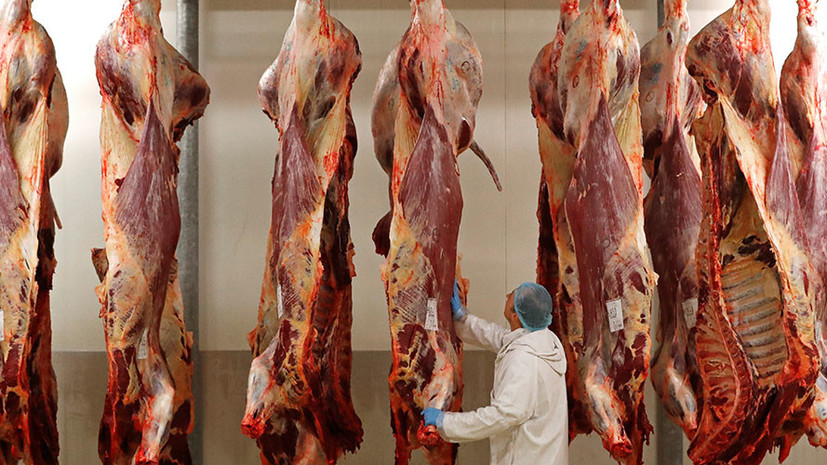 Россия и Турция согласовали условия поставок говядины