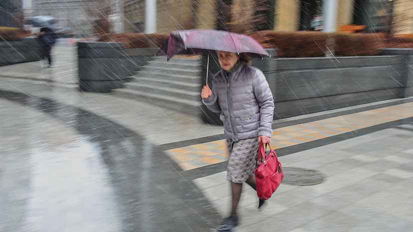 МЧС предупредило о дожде и сильном ветре в Москве