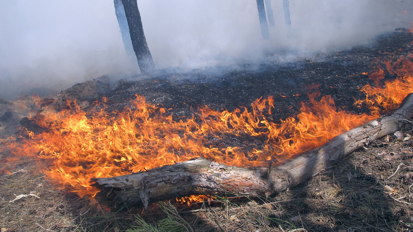 В Дагестане произошёл природный пожар на площади 100 га