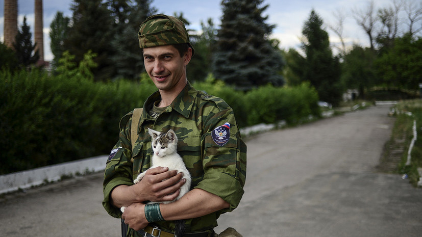 «Выручали добрые люди»: как в Луганске спасали животных во время боевых действий