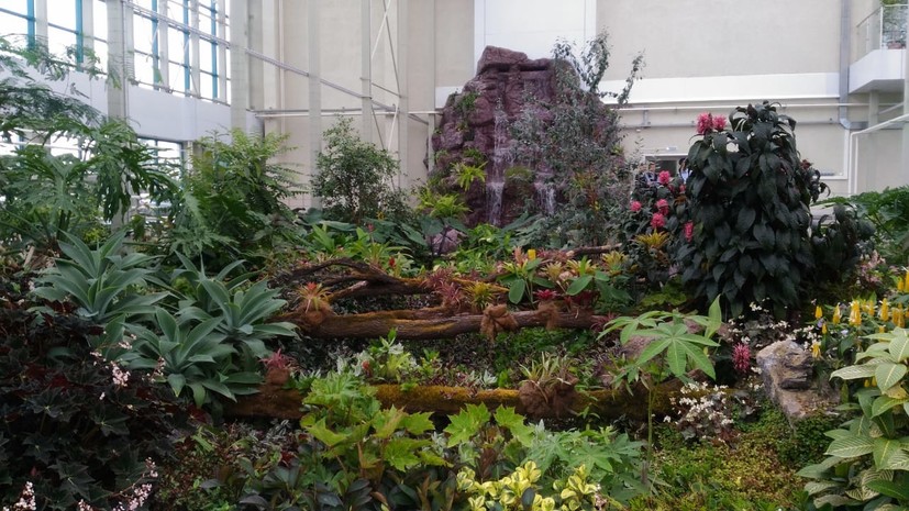 В Кемерове открыли обновлённый Ботанический сад