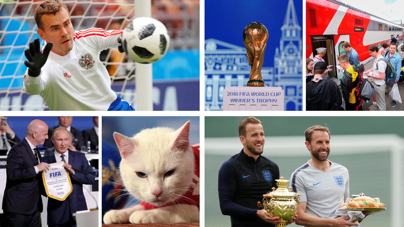 Самовар для англичан, приезд бельгийцев и предсказание кота-оракула: до начала ЧМ-2018 в России остаётся один день