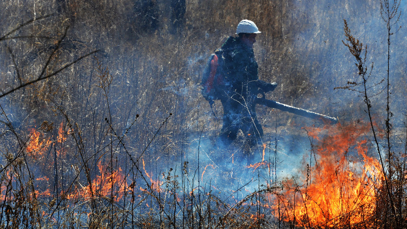 В Оренбургской области предупредили о высоком уровне пожароопасности с 15 по 21 июня