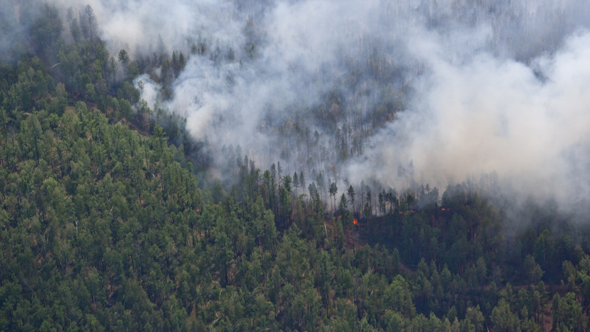 Лесной пожар в Иркутской области потушили с помощью искусственного дождя