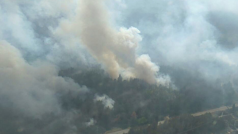 В Иркутской области заявили о чрезвычайной пожароопасности лесов 17 и 18 июня