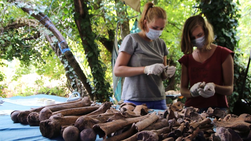 Археологи рассказали о масштабных планах раскопок в Крыму