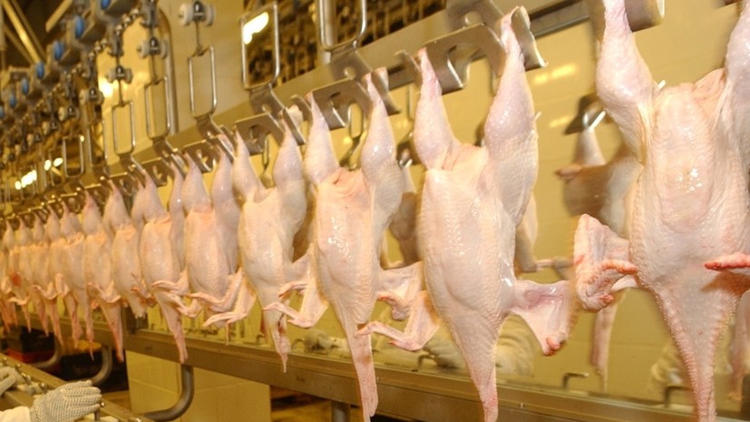 Россельхознадзор задержал 27 тонн мяса курицы из Бразилии в Калининградской области