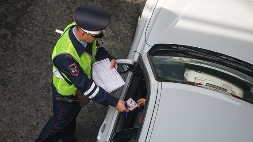 В Перми полиция перекрыла автомобильную дорогу ради утят