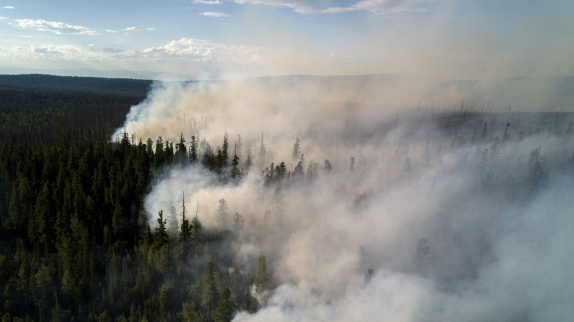 В Якутии планируют тушить лесные пожары с помощью искусственного дождя