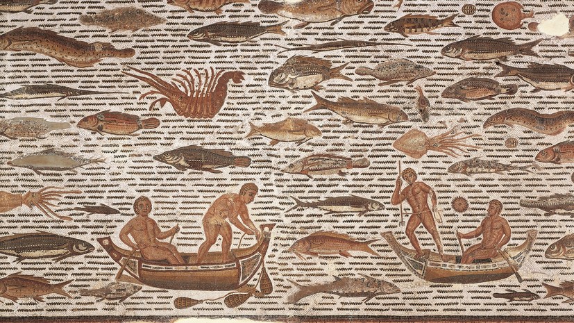 Античные китобои: как древние римляне истребили гигантских млекопитающих в Средиземноморье