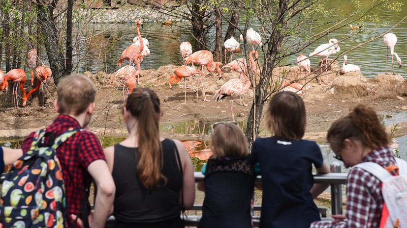 В Московском зоопарке планируют открыть детскую зону
