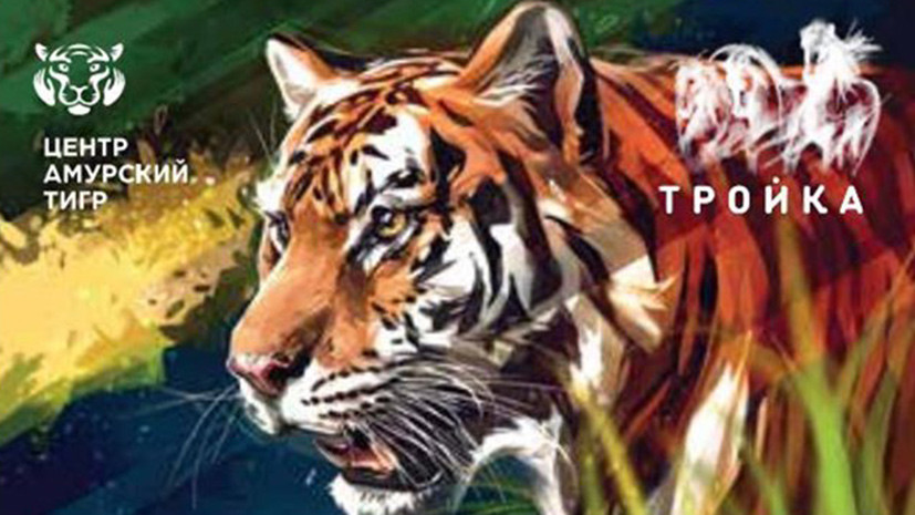 В московском метро появятся карты «Тройка» с амурским тигром