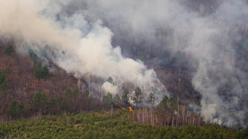 Число лесных пожаров в Ленинградской области выросло в пять раз по сравнению с 2017 годом