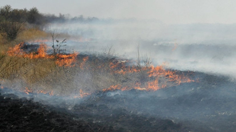 В одном из городских округов Оренбургской области ввели режим ЧС из-за возгорания в степи