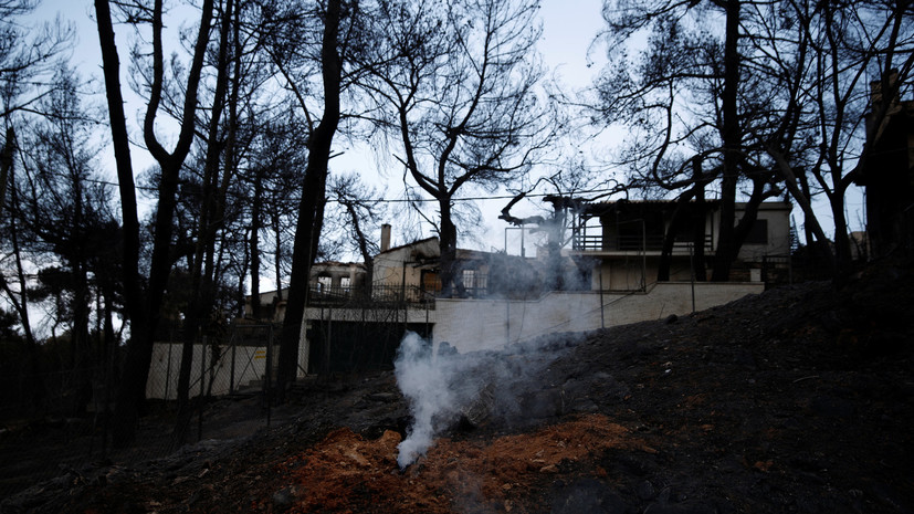 Греческие полицейские задержали подозреваемого в лесных поджогах